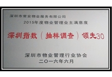深圳指數（抽樣調查）領先30